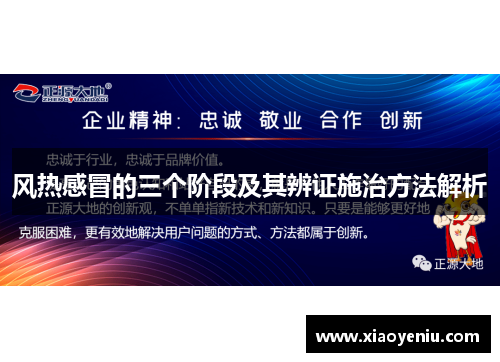 风热感冒的三个阶段及其辨证施治方法解析