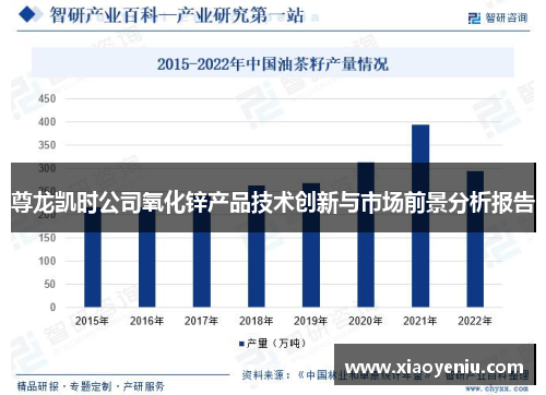 尊龙凯时公司氧化锌产品技术创新与市场前景分析报告