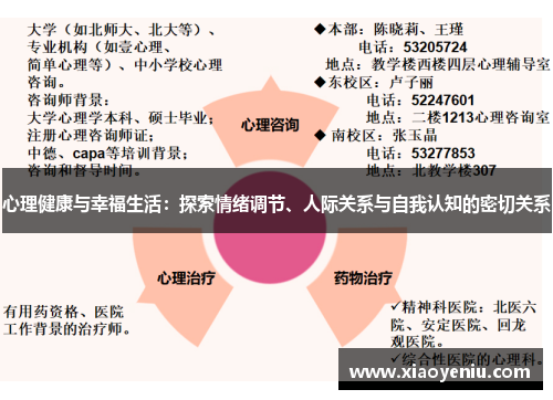 心理健康与幸福生活：探索情绪调节、人际关系与自我认知的密切关系